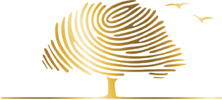 ana-sayfa-duyurulari.png
